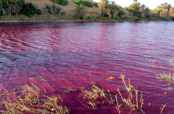 Breaking News: Tragedy Strikes as the Essequibo River Turns to Blood, Claiming the Lives of 8 Fishermen