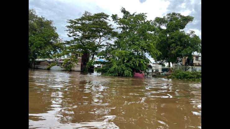 Breaking News: Guyana’s Walkaway Road which leads into the Iwokrama Forest Blocked by Floodwaters