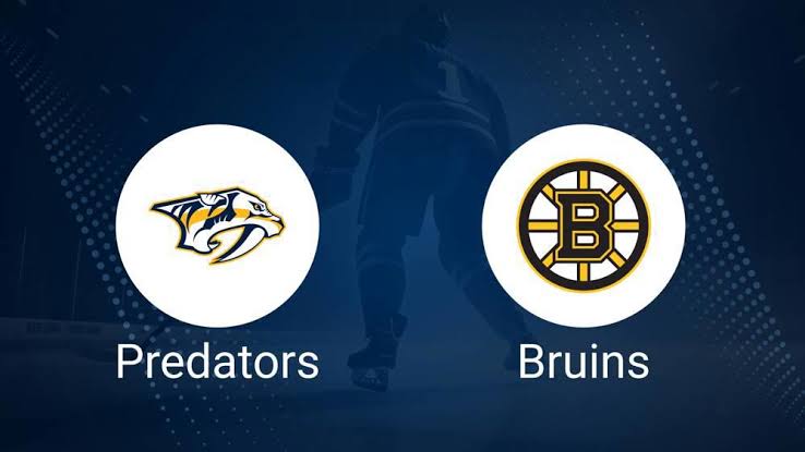 Boston Bruins vs. Nashville Predators Game Suspended Due to Stadium Fire and Reconstruction Efforts